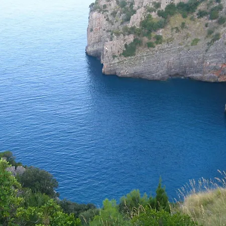 Scario-cilento *